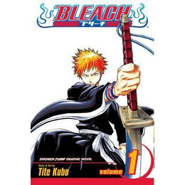 Bleach, Vol. 1