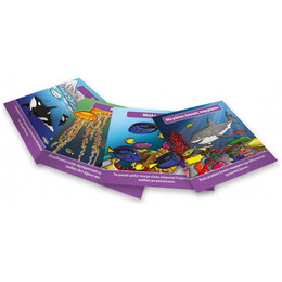 BrainBox - Θαλλάσιος Κόσμος 93024