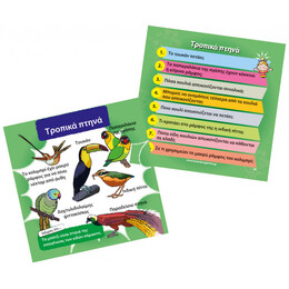 BrainBox - Φύση 93003