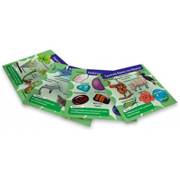 BrainBox - Φύση 93003