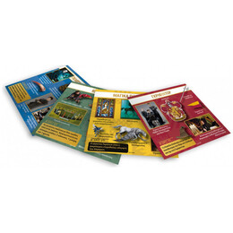 BrainBox - Harry Potter 93046