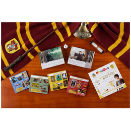 BrainBox - Harry Potter 93046