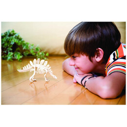 4M Toys - Ανασκαφή Μαμούθ 3236 4M0021