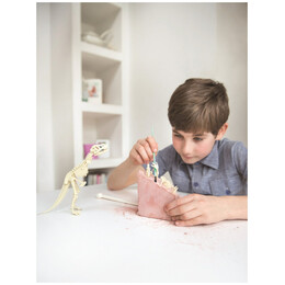 4M Toys - Ανασκαφή Σκελετού Στεγόσαυρος 3229 4M0010