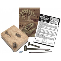 4M Toys - Ανασκαφή Σκελετού Στεγόσαυρος 3229 4M0010