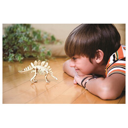4M Toys - Ανασκαφή Σκελετού Στεγόσαυρος 3229 4M0010