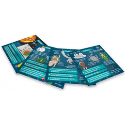 BrainBox - Διάστημα 93048