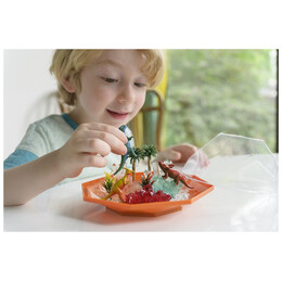 4M Toys - Καλλιέργεια Κρυστάλλων Δεινόσαυροι 3926 4M0577