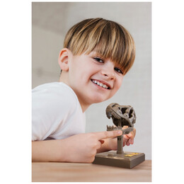 4M Toys - Κατασκευή Κρανίο Τ-Ρεξ Με Ήχο 3399 4M0594