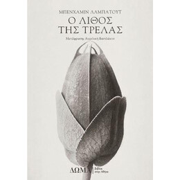 Ο Λίθος της Τρέλας