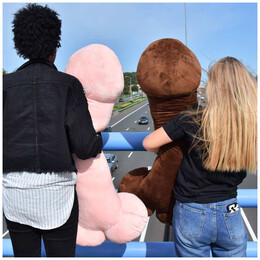 Μαξιλάρι Mikamax  Penis Pillow 100cm 04786 (Τυχαία Επιλογή χρώματος)