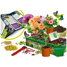 Lisciani Εργαστήριο Βοτανικής 88805