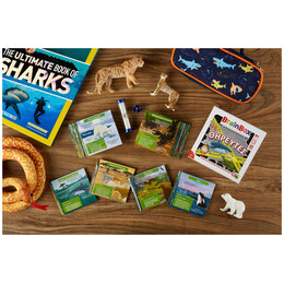 BrainBox - Θηρευτές 93053