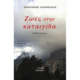 Ζωές Στην Καταιγίδα - Παναγιώτης Γιαννουλέας