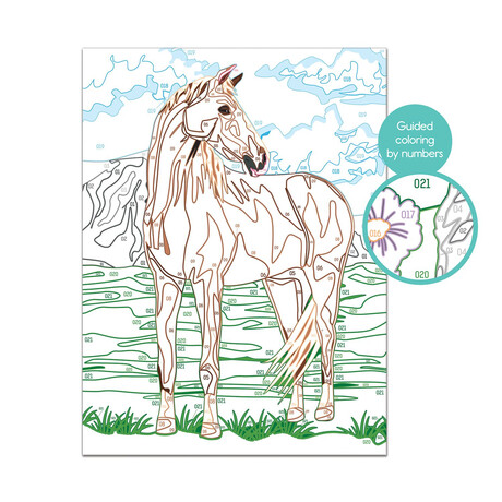 Paint & Frame Ζωγραφίζω Με Αριθμούς Wild Horse Για Ηλικίες 9+ Χρονών