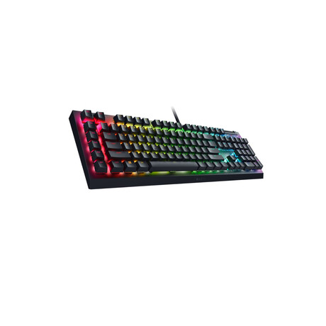 Razer BlackWidow V4 X - RGB Gaming Mechanical Keyboard - Macro Keys - Green Clicky Switches