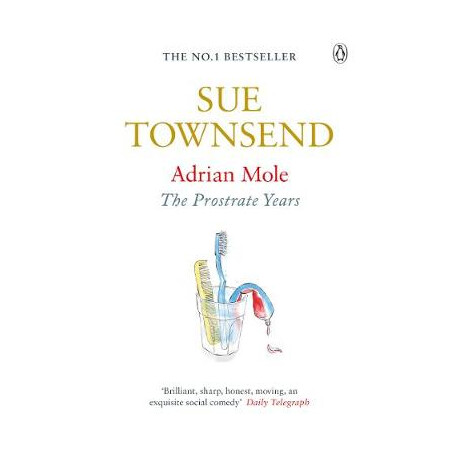 Adrian Mole : the Prostrate Years (Adrian Mole 8) pb b Format