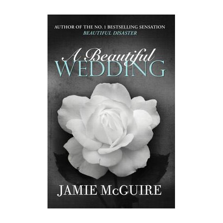 Beautiful Disaster 3: a Beautiful Wedding : a Novella pb