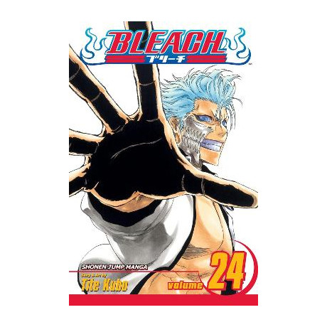 Bleach 24 pa