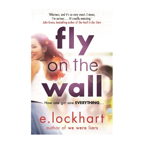 Fly on the Wall