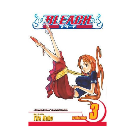 Bleach 03 pa