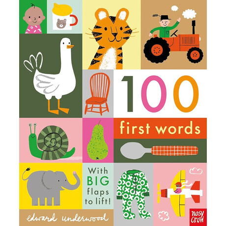 100 First Words hc bbk