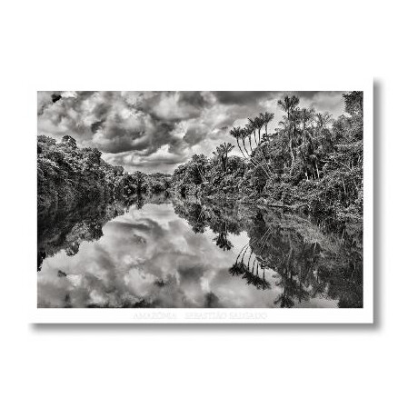 Sebasti?o Salgado. Amazοnia. Poster jau River