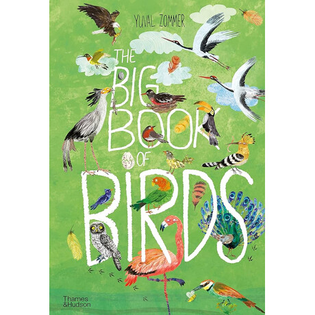 The big Book of Birds hc