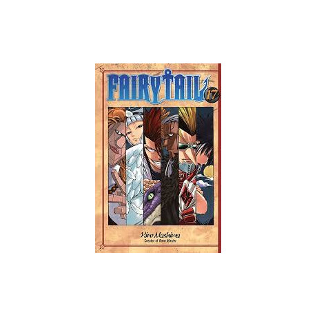 Fairy Tail 17