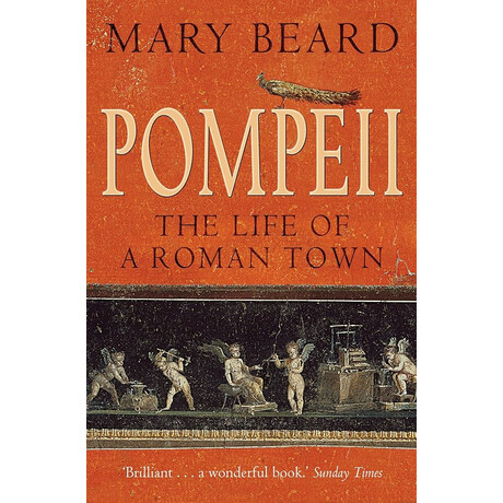 Pompeii : the Life of a Roman Town