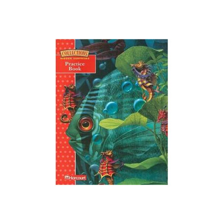 Hidden Surprises - Reader - Grade 3 Level 1 Practice Book