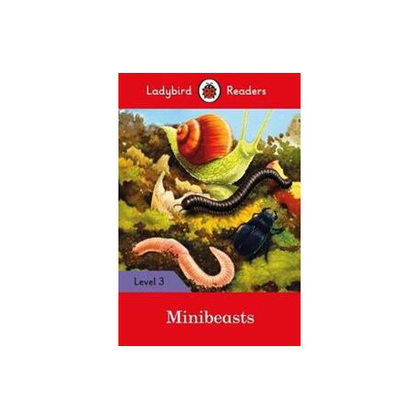 Minibeasts St/bk Level 3 Ladybird