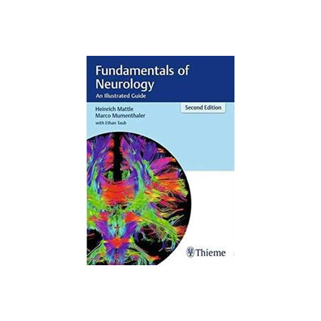 Fundamentals of Neurology