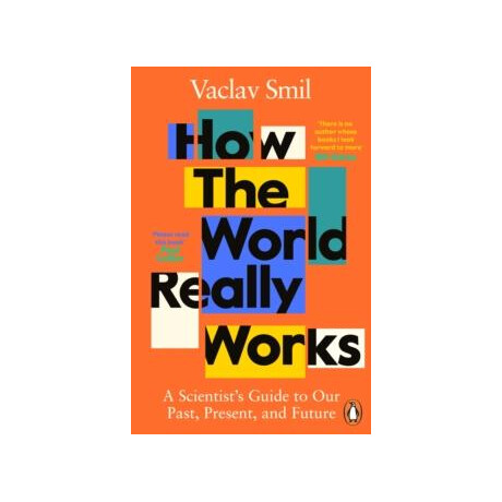 How the World Really Works : a Scientist's Guide to our Past, Present and Future