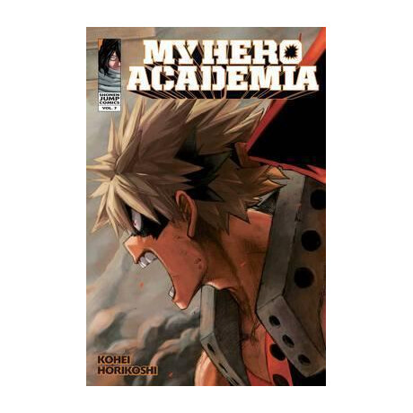 My Hero Academia, Vol. 7
