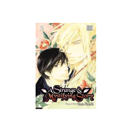 A Strange and Mystifying Story: vol 02