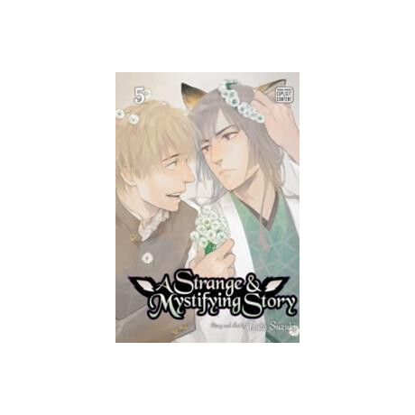 A Strange and Mystifying Story: vol 05