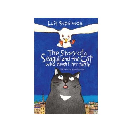 Story of a Seagull and the cat
