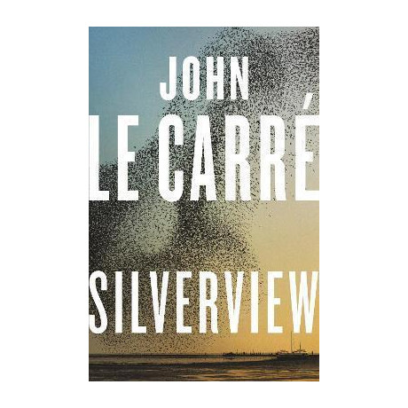 Silverview : the Sunday Times Bestseller