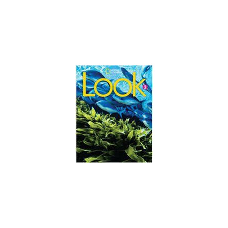 Look 3 Workbook