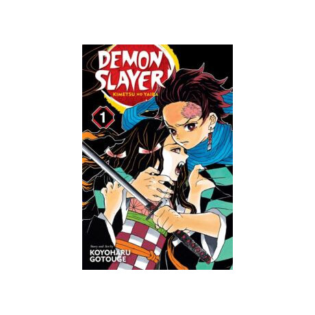 Demon Slayer: Kimetsu no Yaiba, Vol. 1 : 1