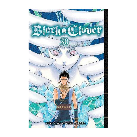 Black Clover: vol 30