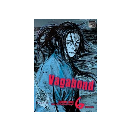 Vagabond (Vizbig Edition), Vol. 6