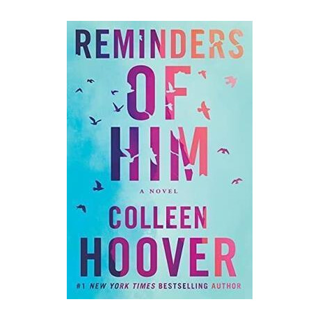 Reminders of him : a Novel