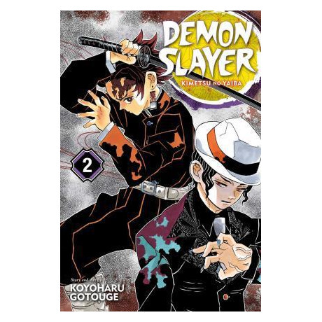 Demon Slayer: Kimetsu no Yaiba vol 02