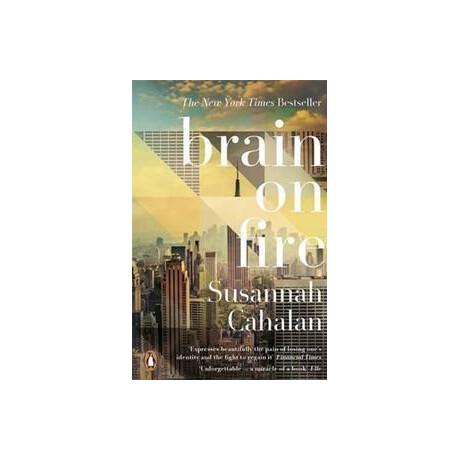 Brain on Fire: my Month of Madness