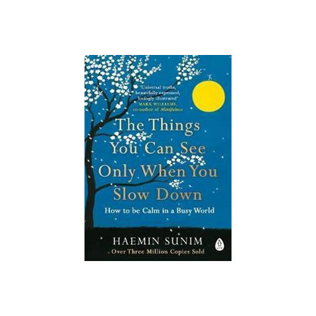 The Things you can see Only When you Slow Down : how to be Calm in a Busy World
