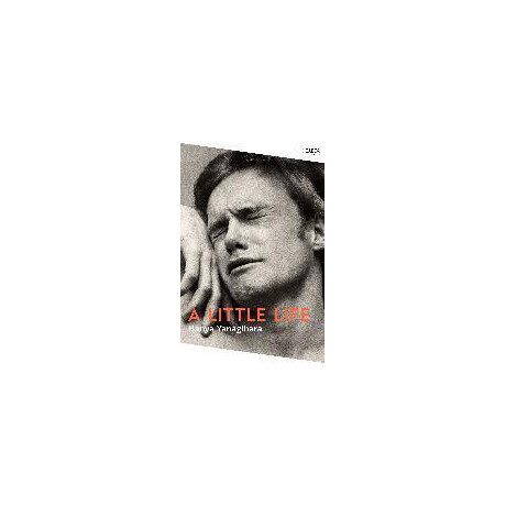 A Little Life