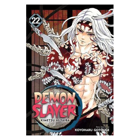 Demon Slayer: Kimetsu no Yaiba, Vol. 22