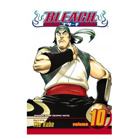 Bleach: vol 10